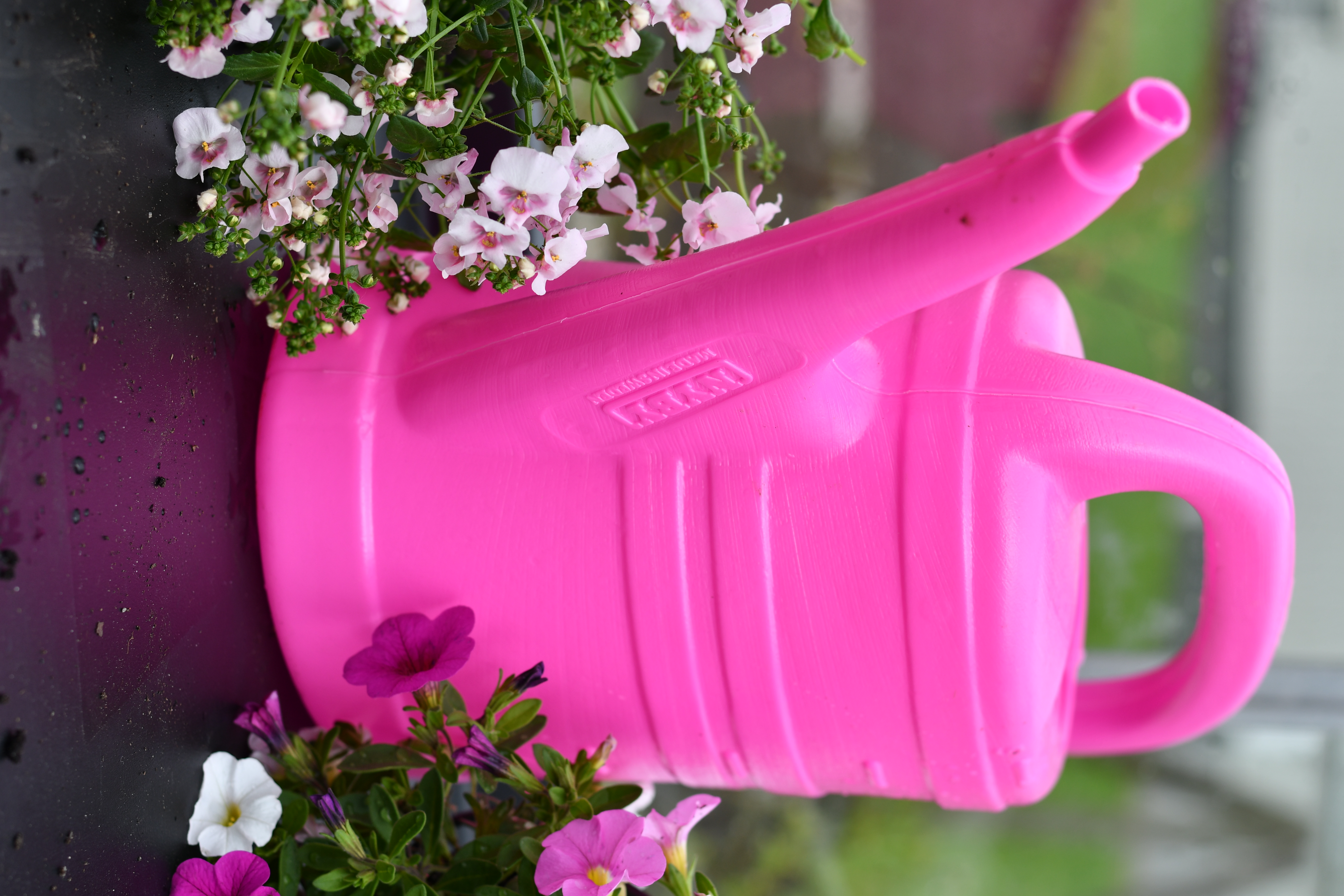 Vattenkanna 5 L Rosa