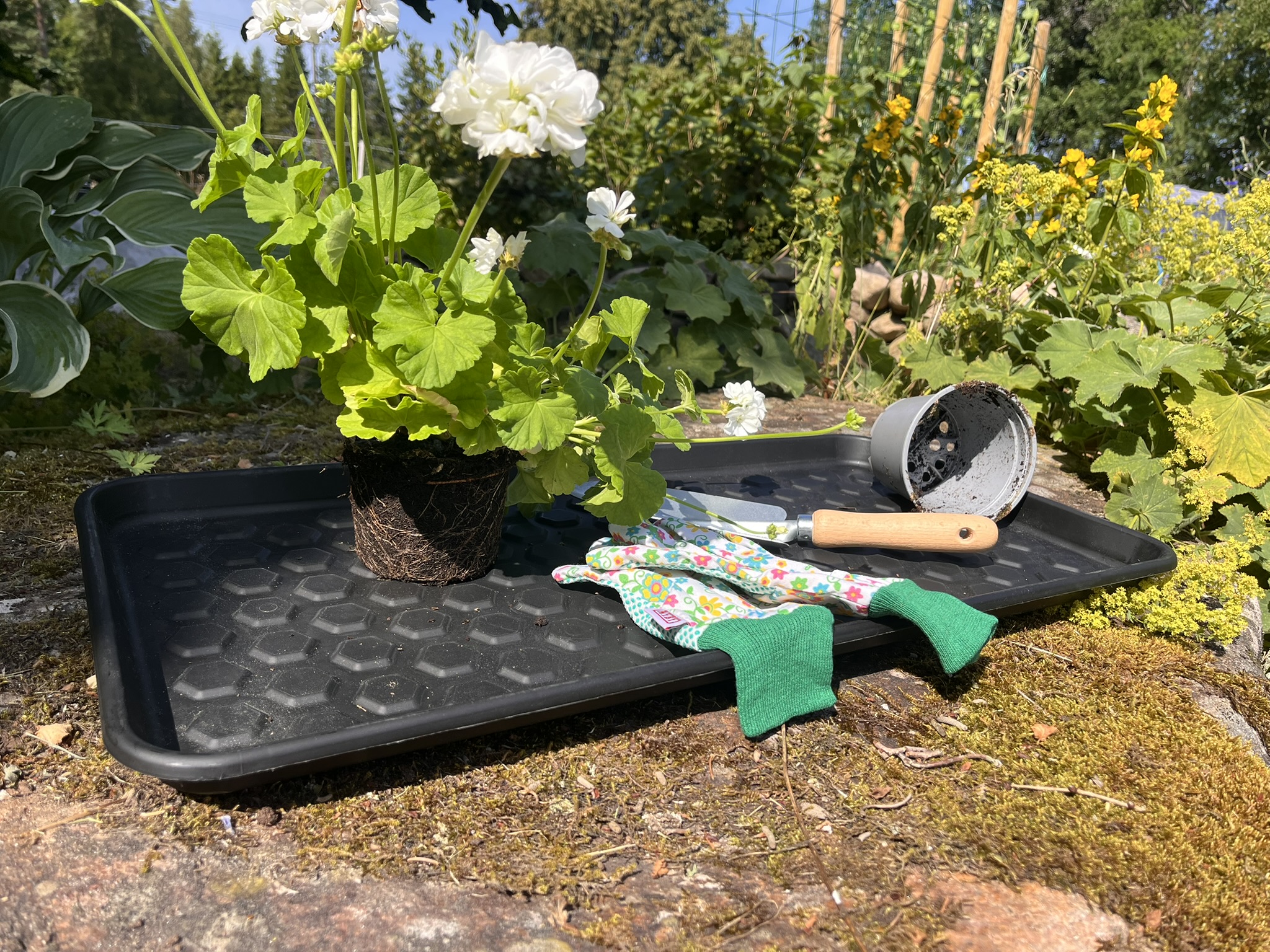 Multi Tray Svart