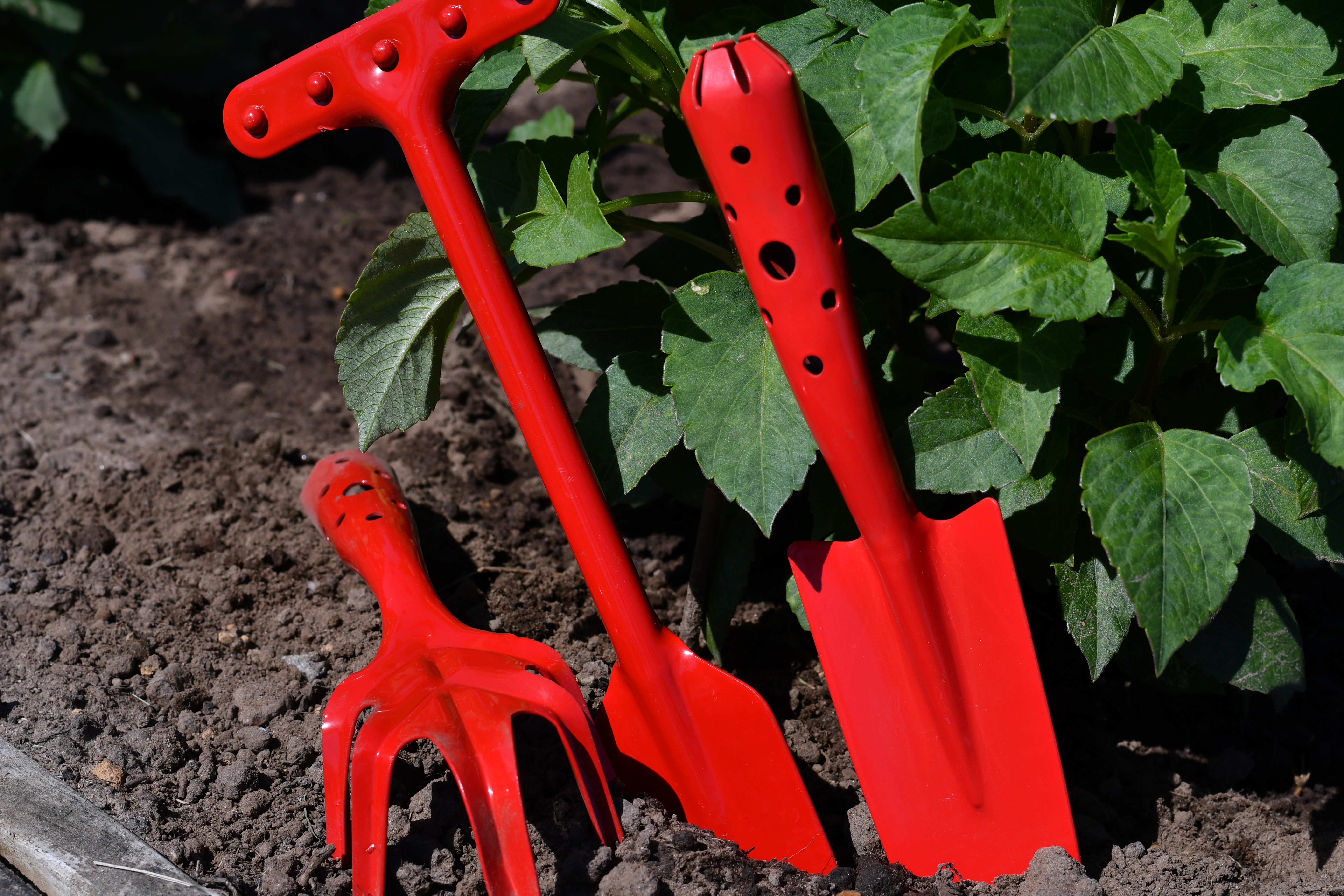 Handredskap 50st, Trädisplay, Röd