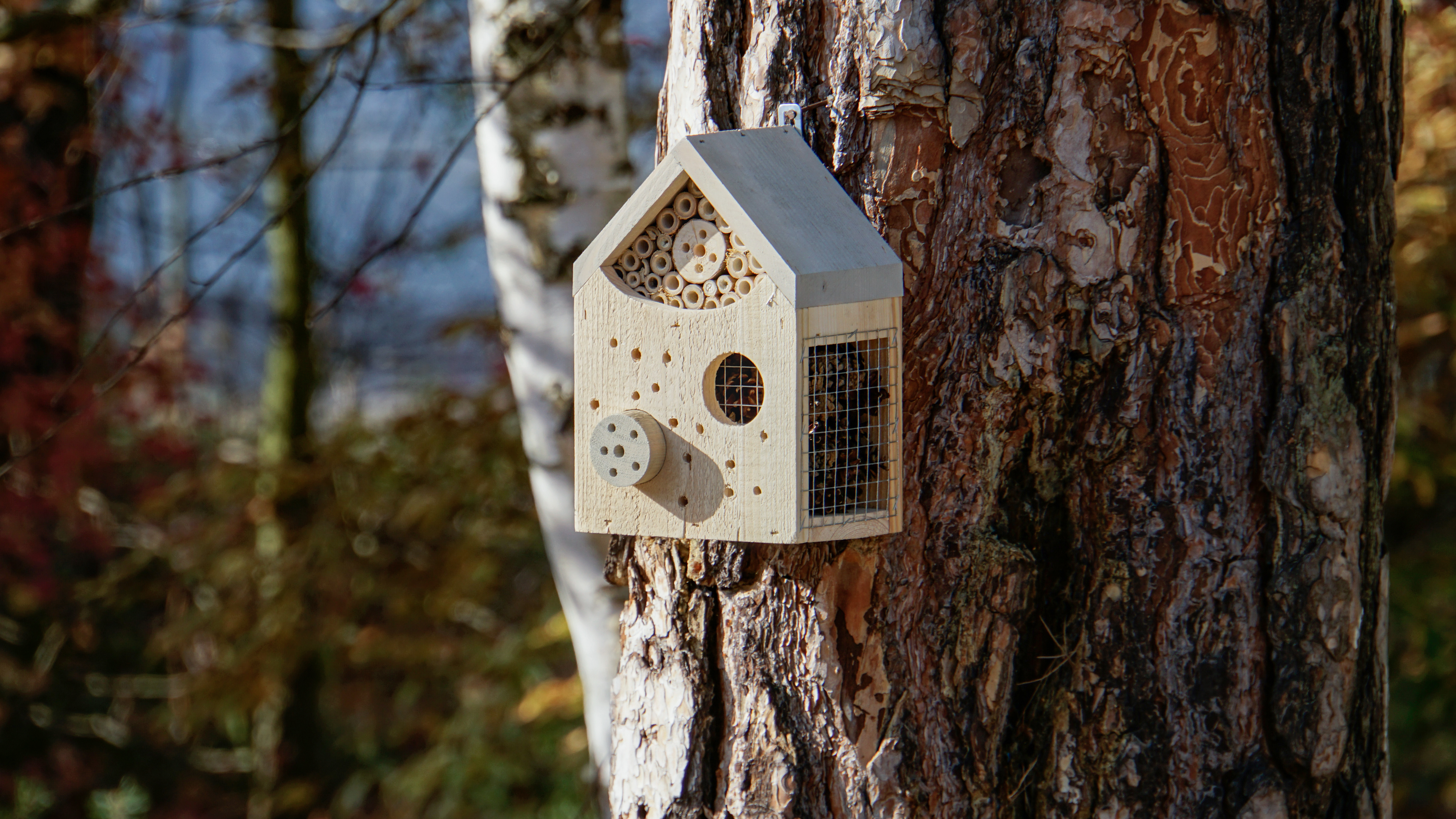 Insektshotell Lyx 18x15x27 cm