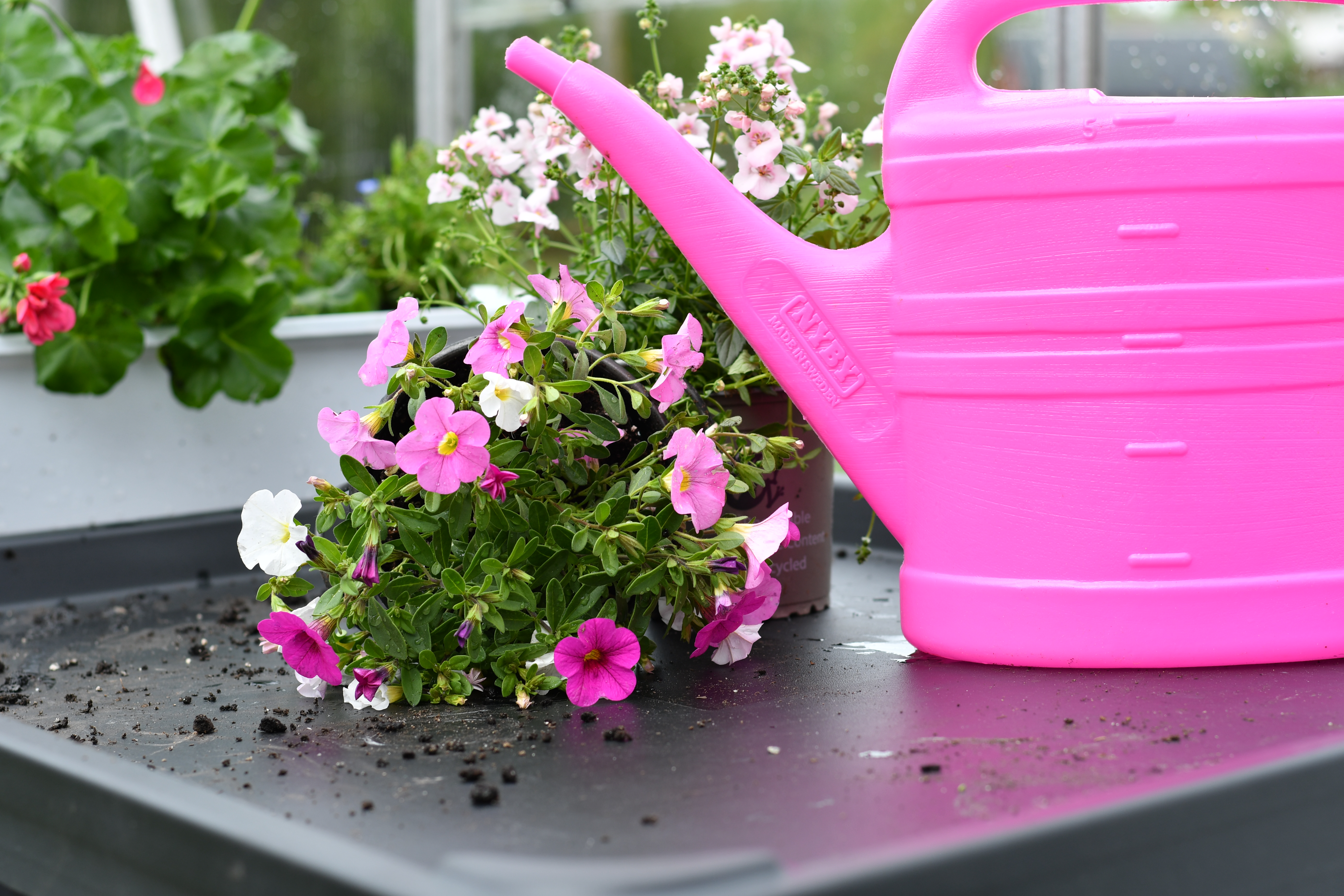 Bricka till plantering 800x1200x40mm Svart