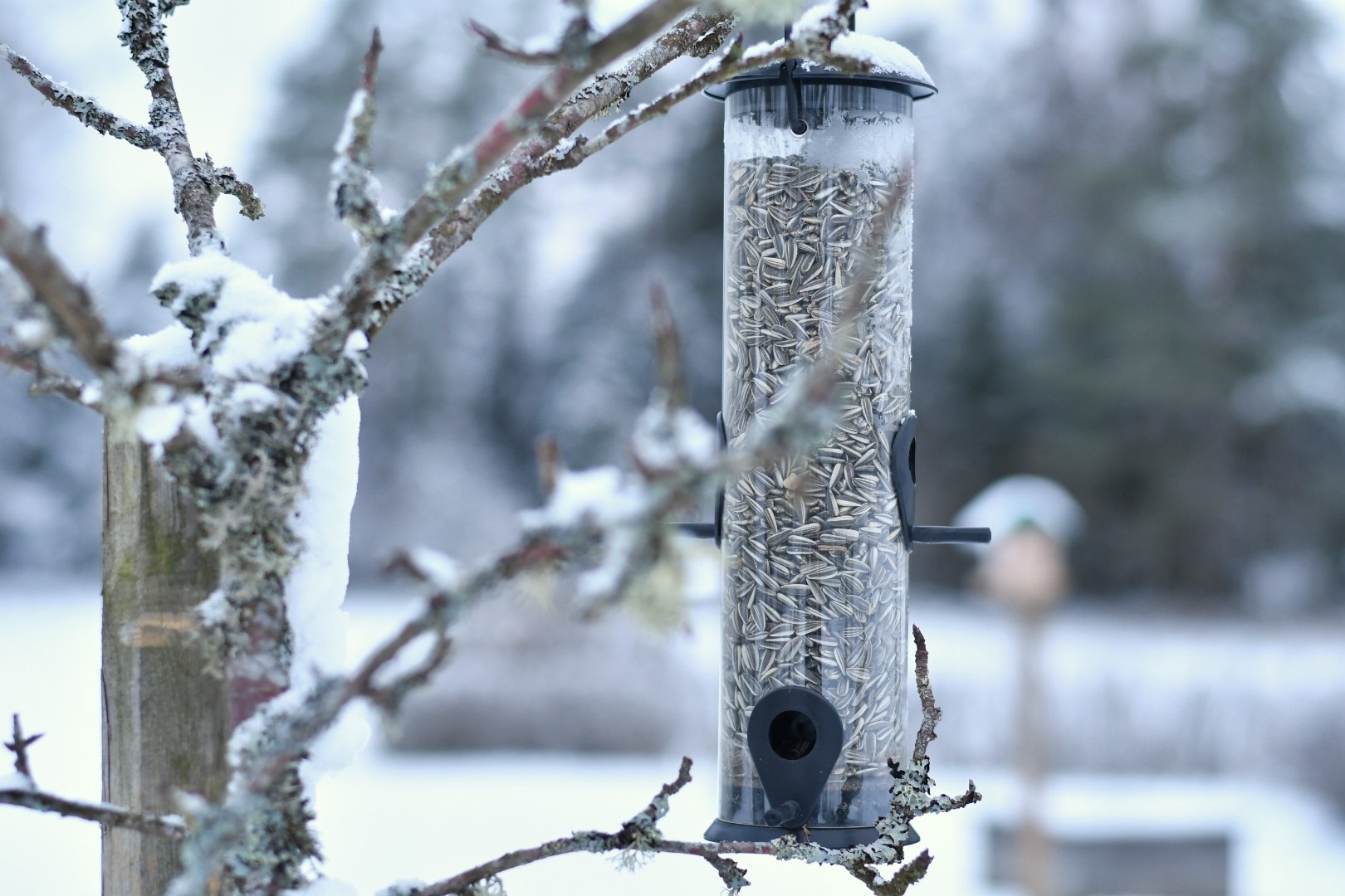 Fågelmatare Rör 30 cm Svart