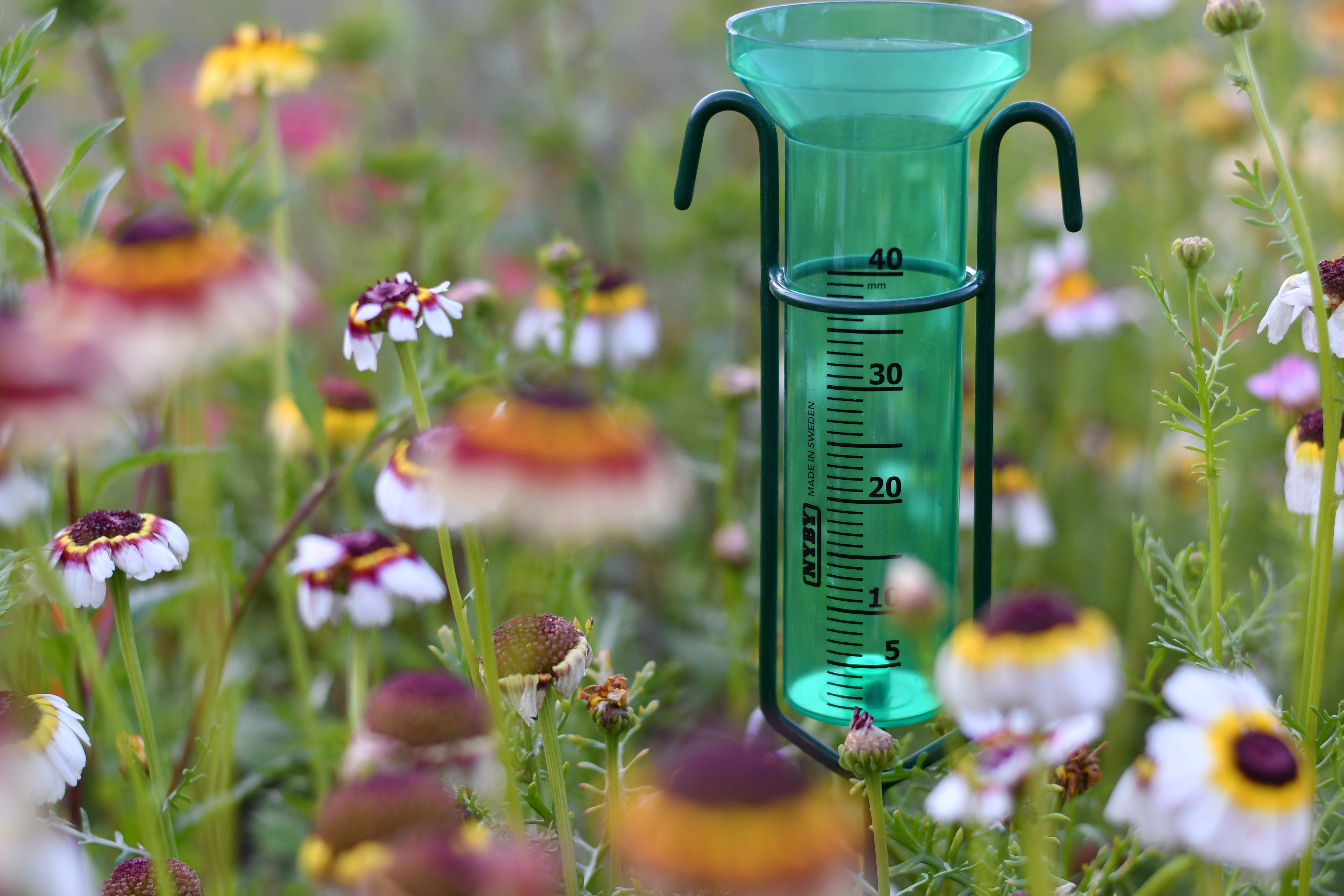 Regnmätare Grön, Grönt glas