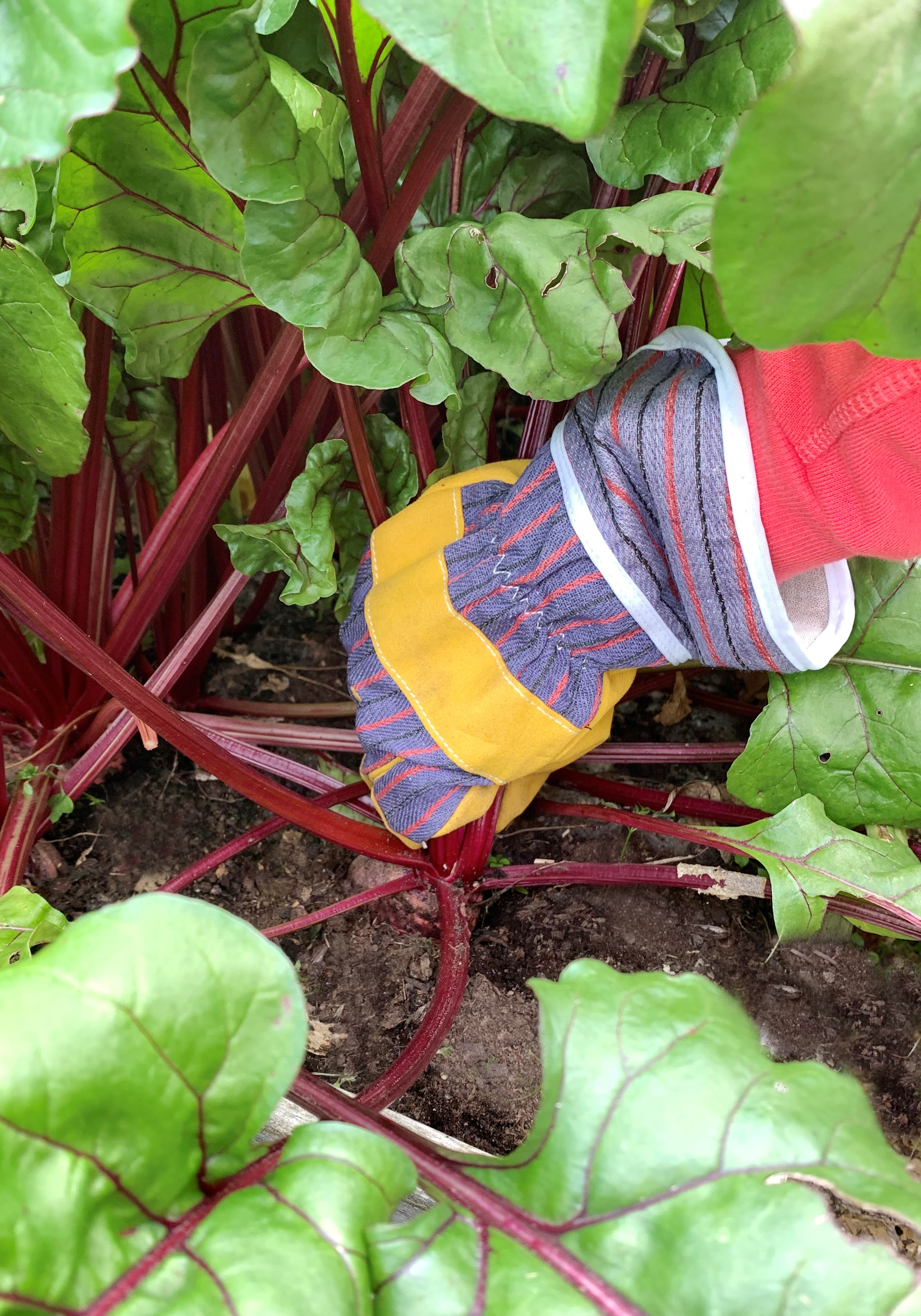 Trädgårdshandske konstläder, strl 10,5