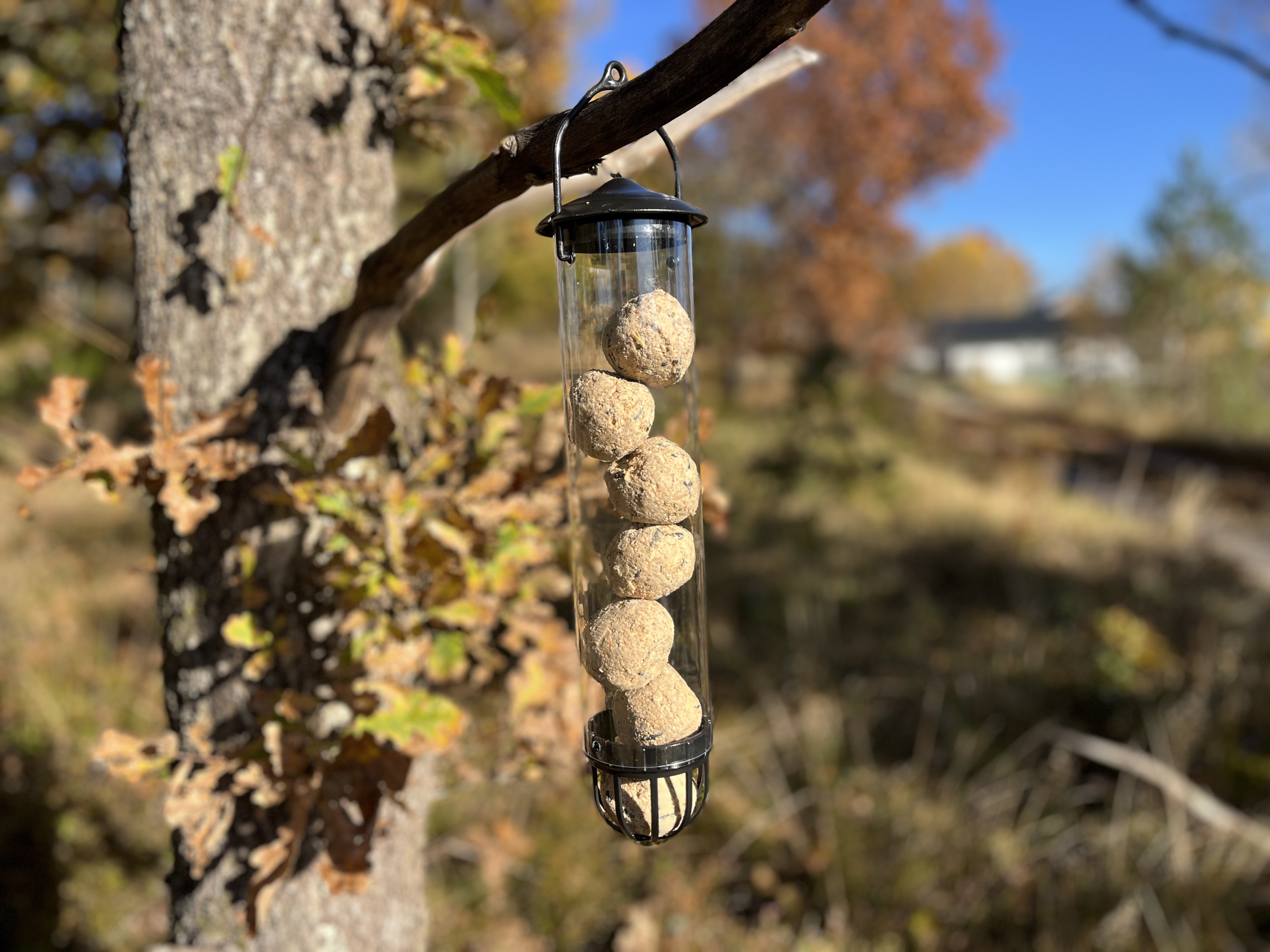 Fågelmatare Talgbollsrör  30cm,svart