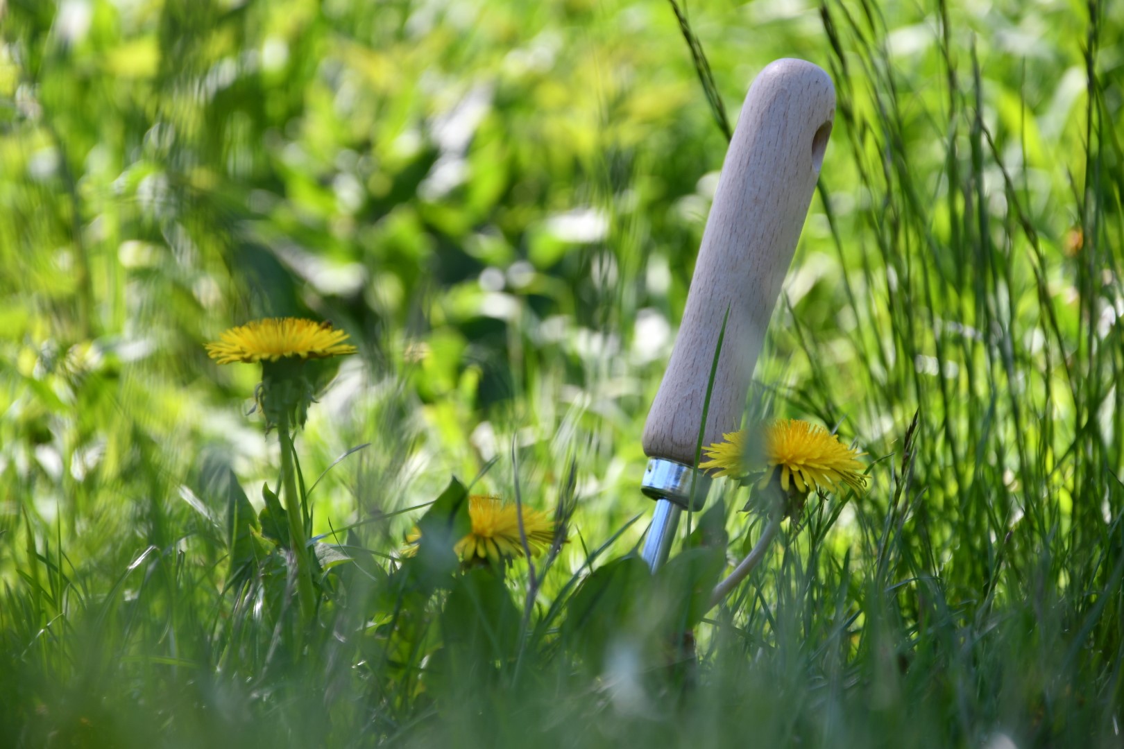 Maskrossticka Zink/Trä