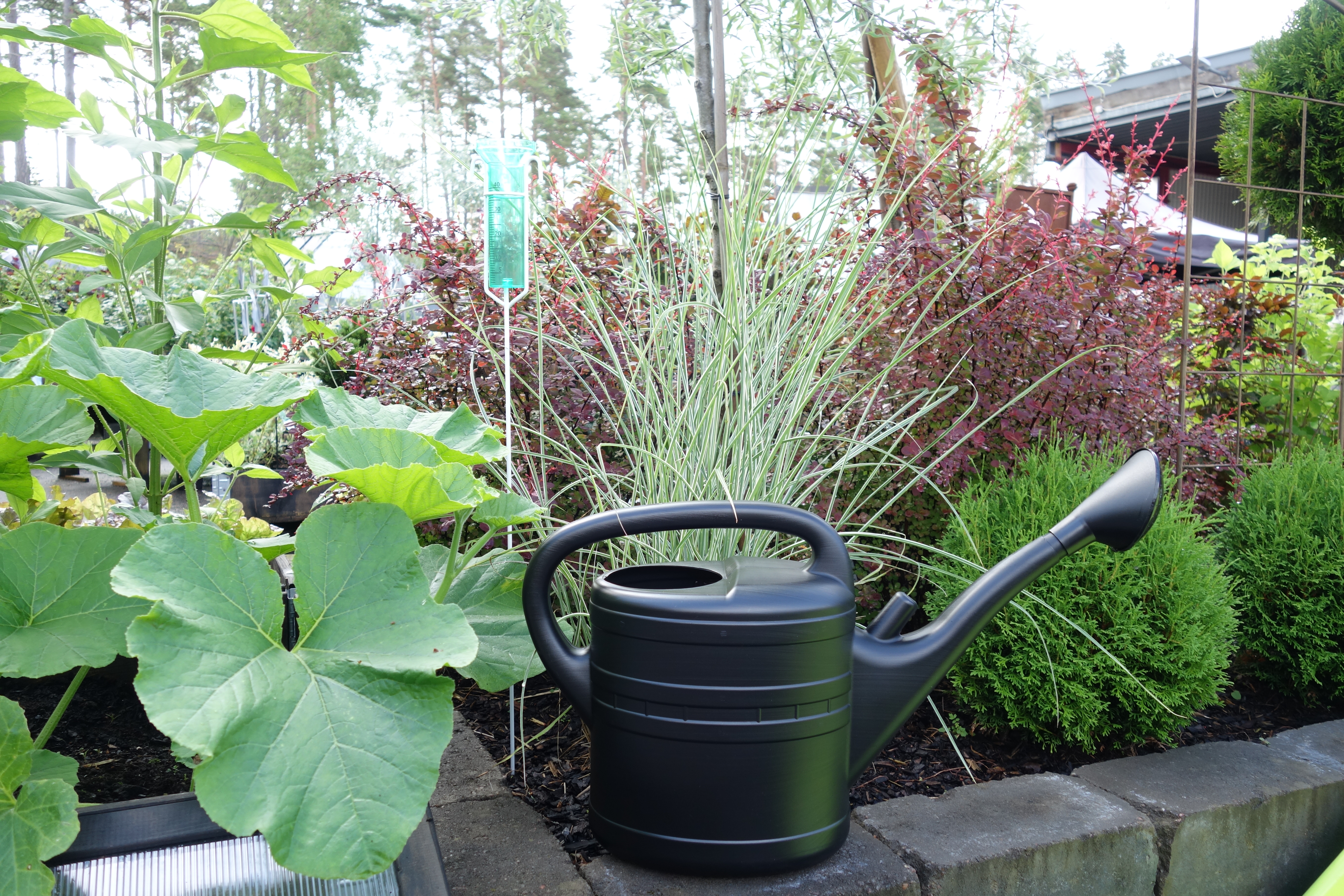 Vattenkanna 10 l Svart Recycled