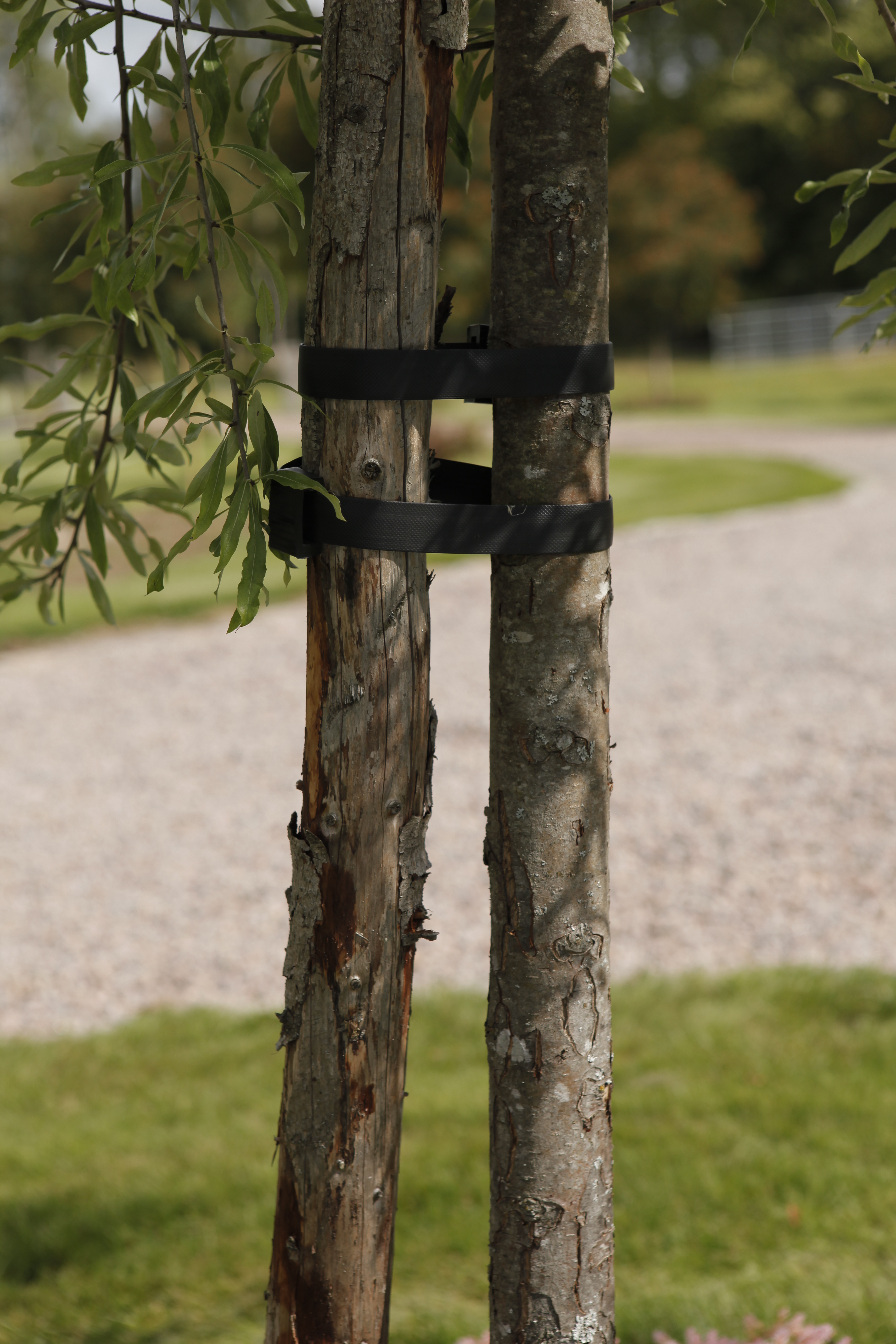 Träduppbindare, 45cm x 1st, Svart