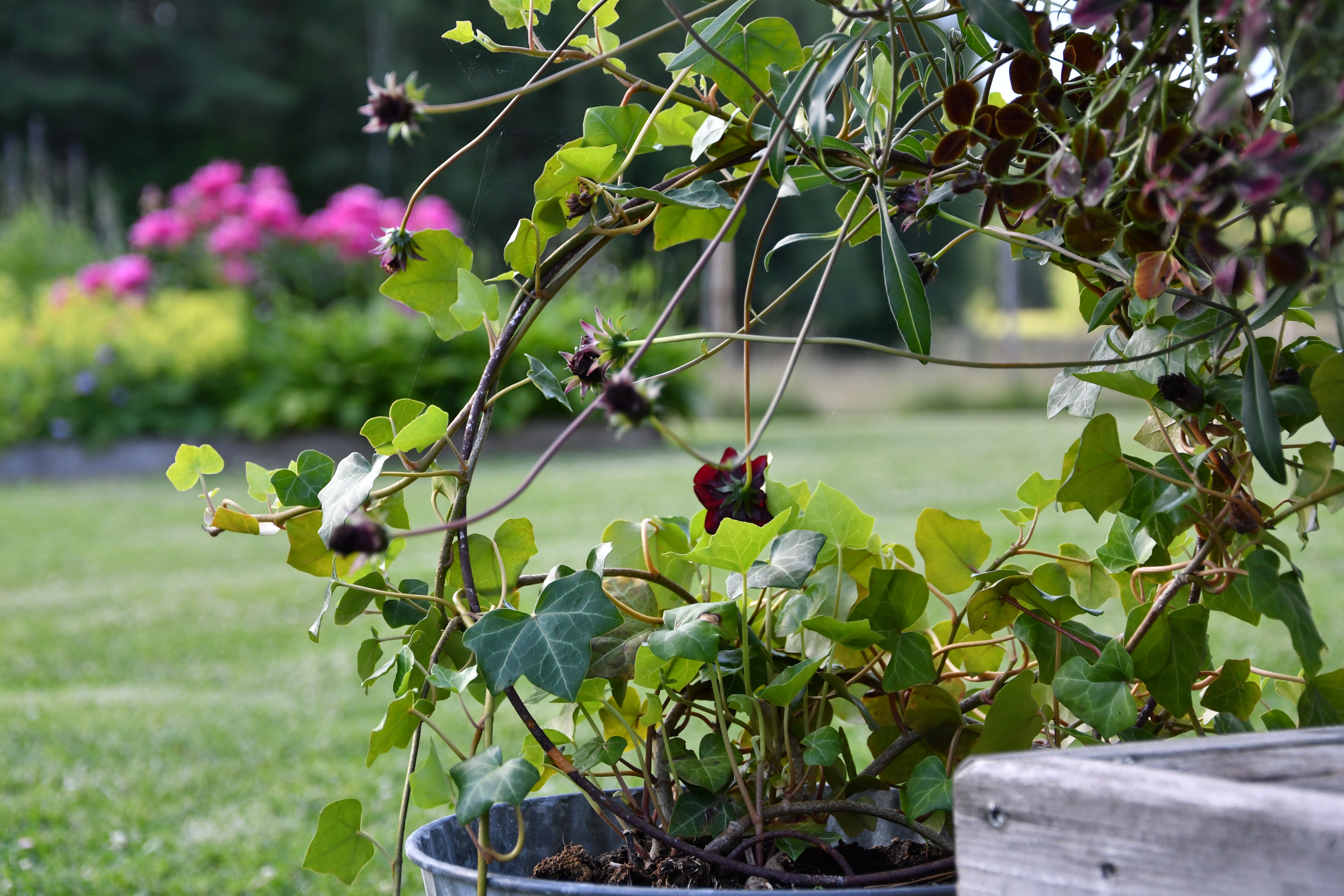 Krukspaljé, rund  Ø25cm H36cm, Obh