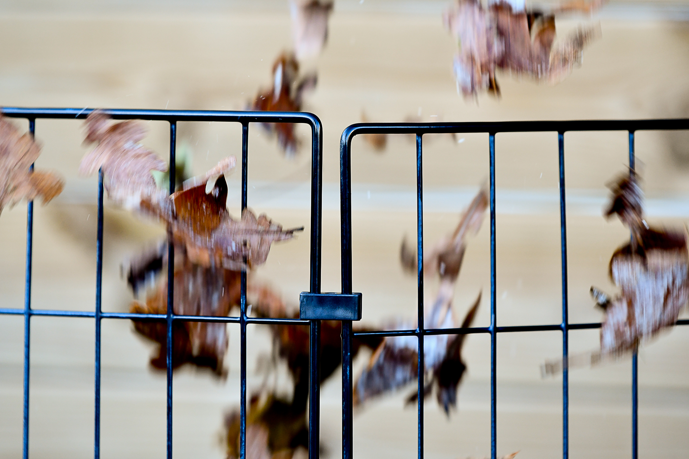 Kompostbehållare Original Svart, 90x90x75