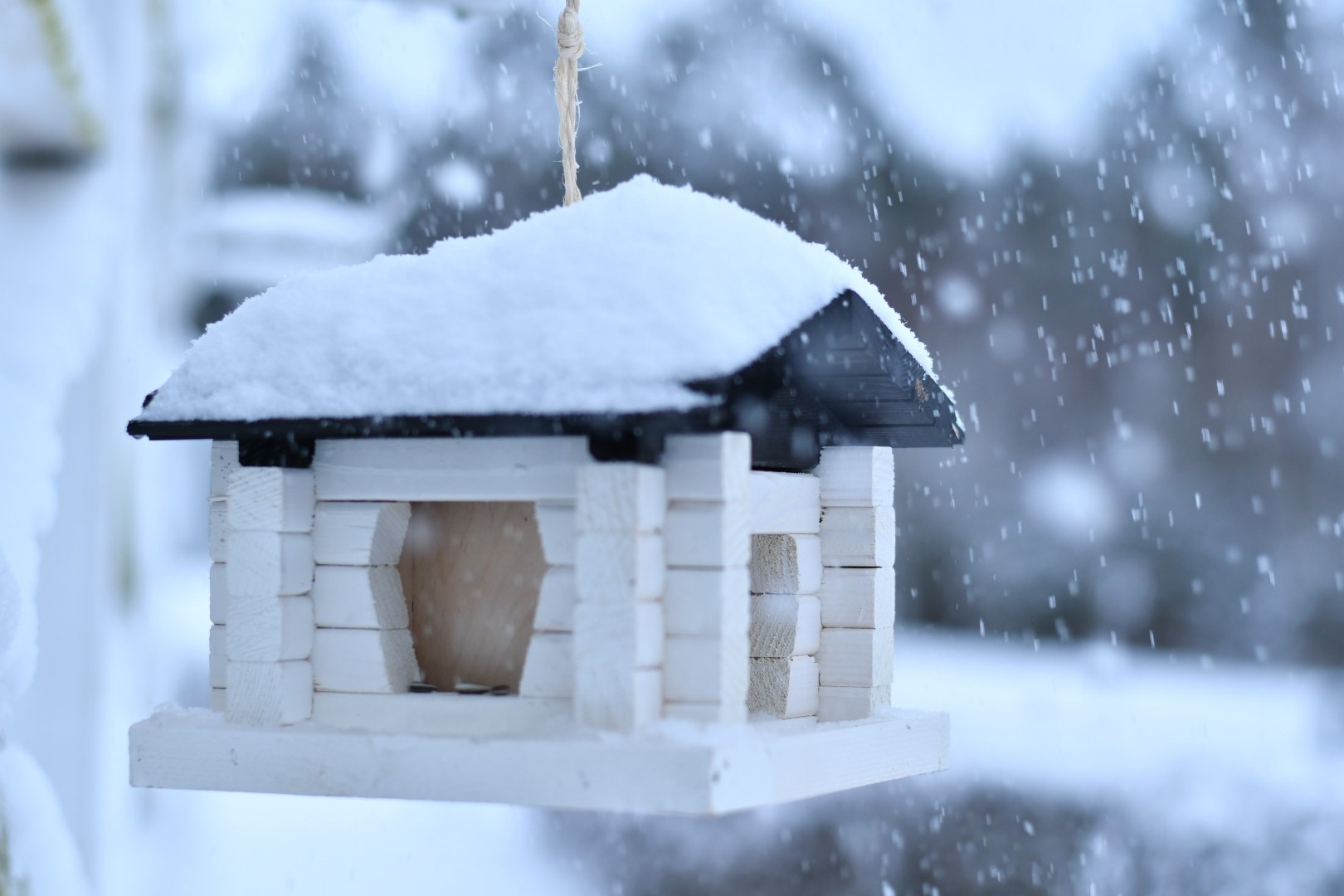 Fågelbord, Mellan 26x21x13cm, Vit/Svart