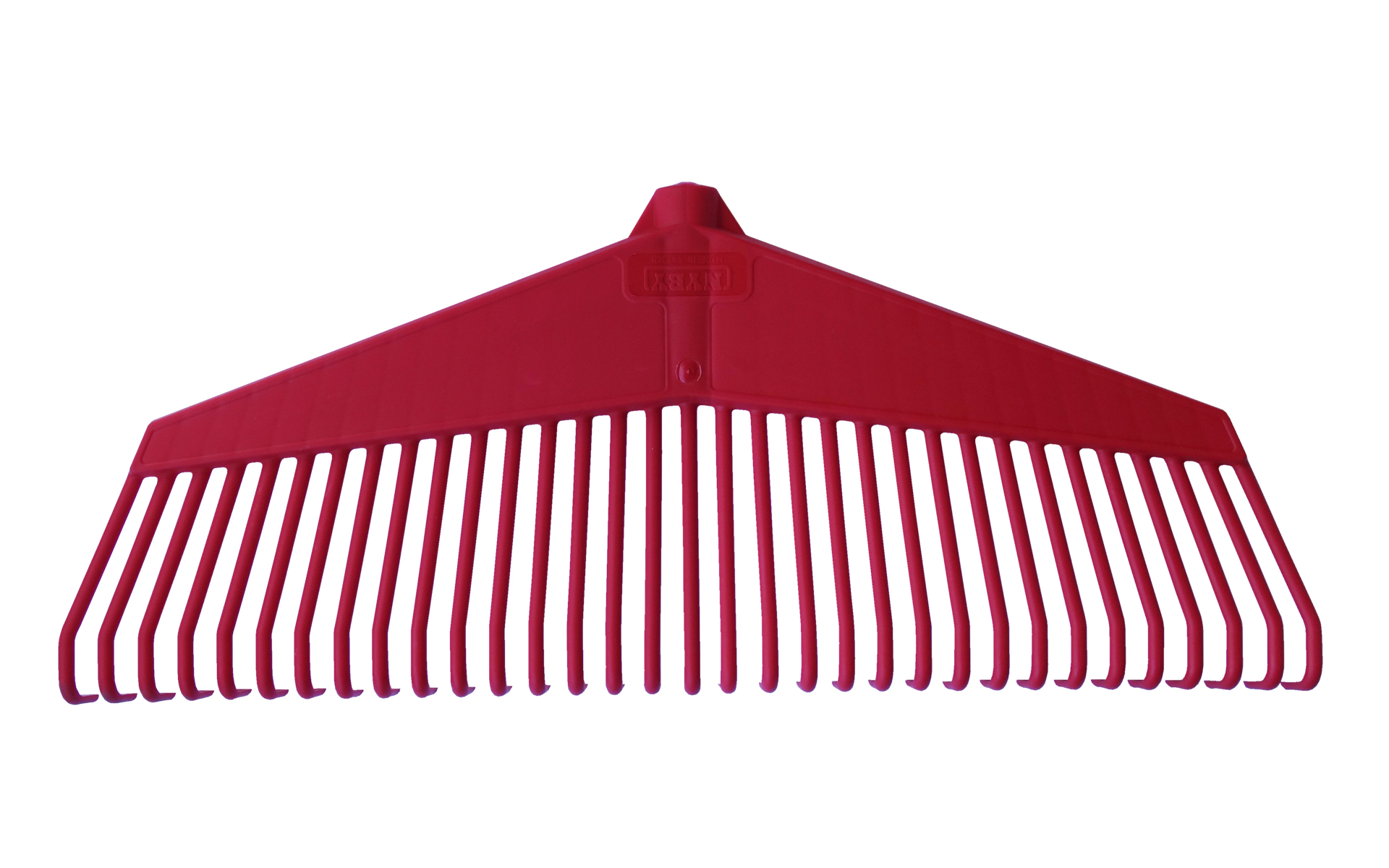 Lövräfsa Bred Röd, Huvud.