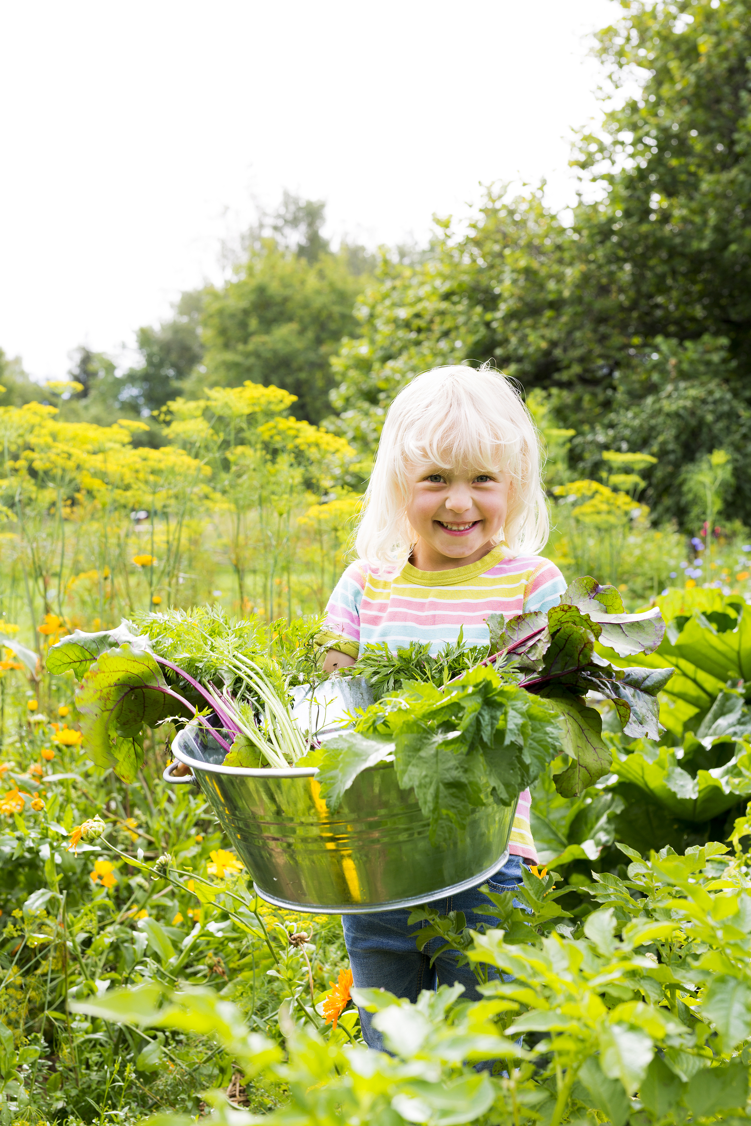 Liten balja 11 lit., Zink