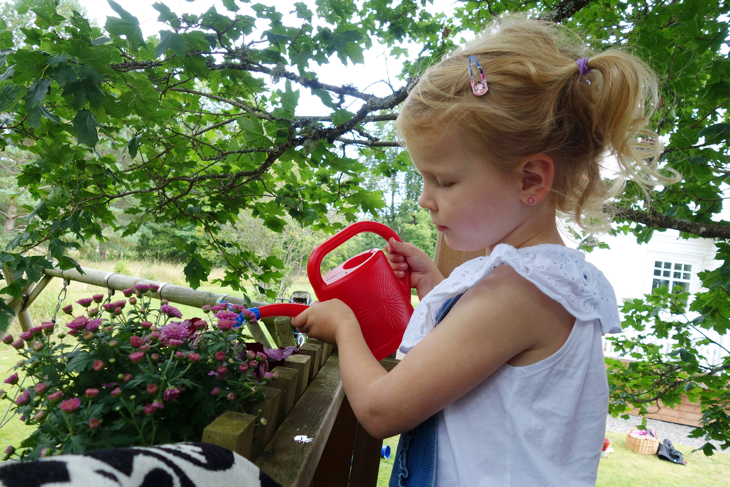 Vattenkanna Sol, 1 liter