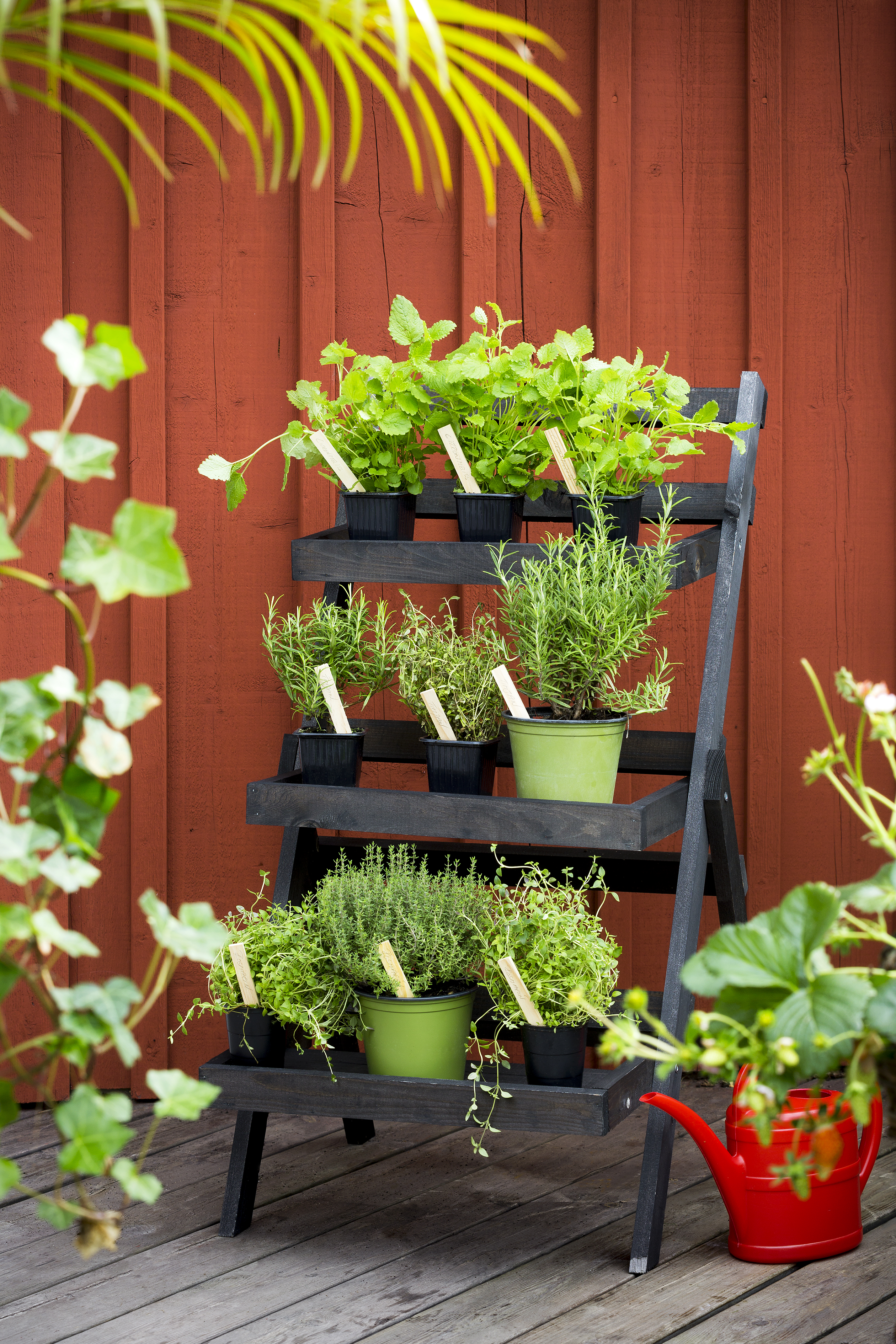 Planteringshylla 65x50x95cm, Svart