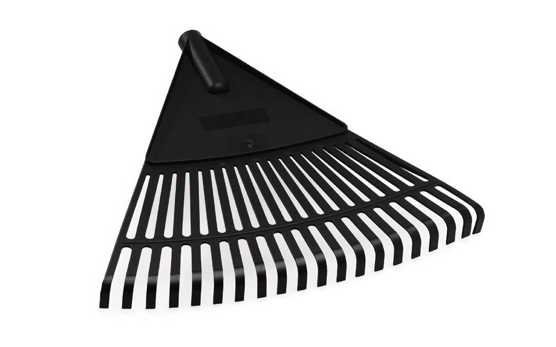 Lövräfsa Solfjäder Svart huvud