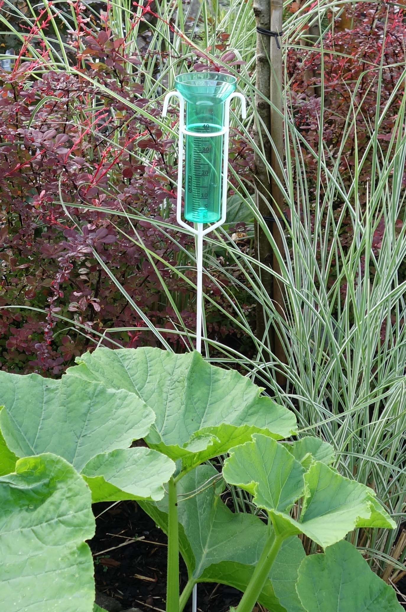 Regnmätare Grön, Grönt glas