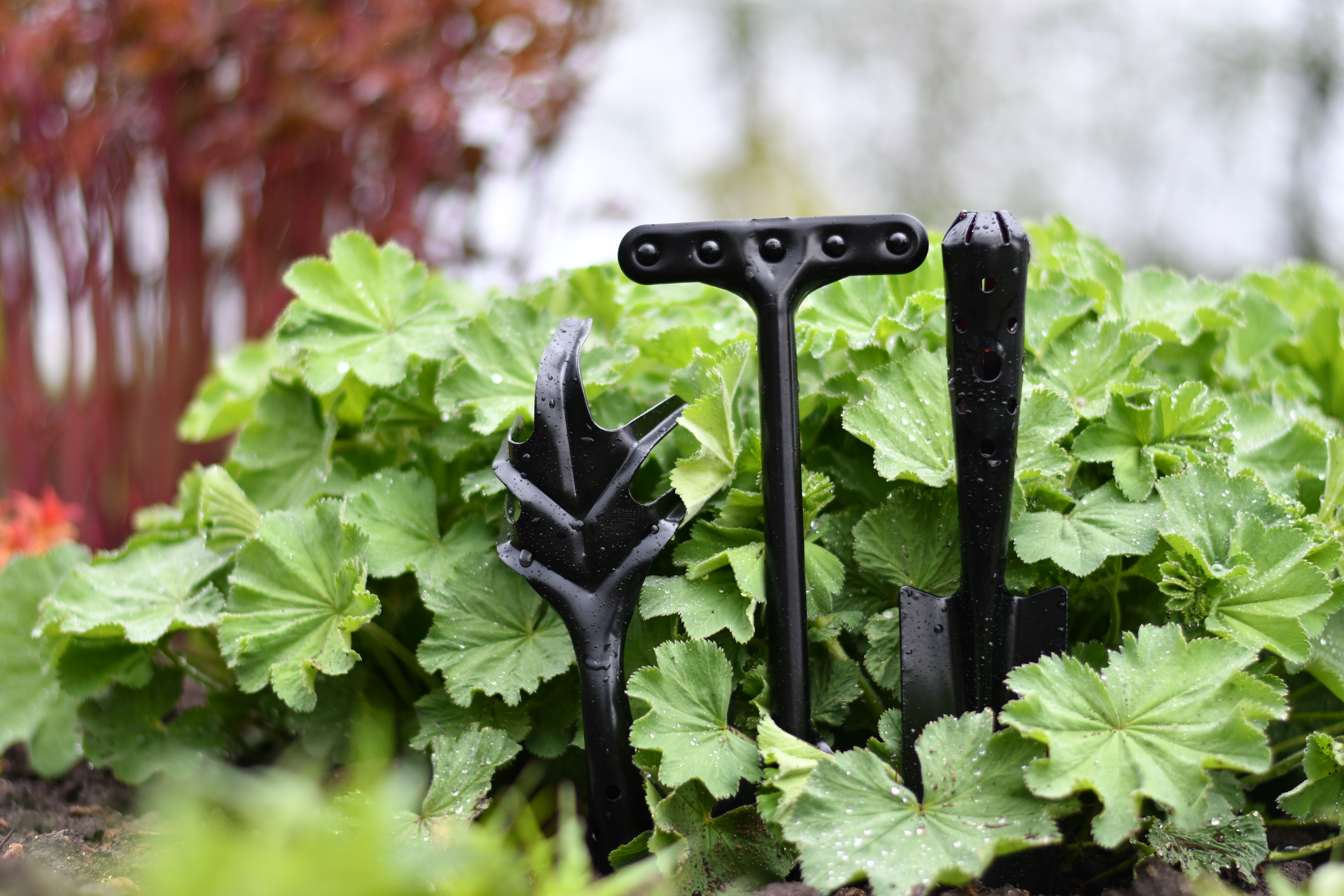 Handredskap 50st, Trädisplay, Svart